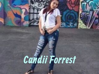 Candii_Forrest