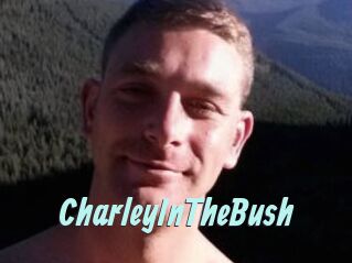 CharleyInTheBush