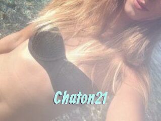 Chaton21