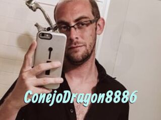 ConejoDragon8886