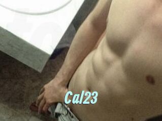 Cal23