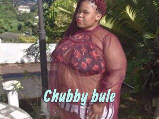 Chubby_bule