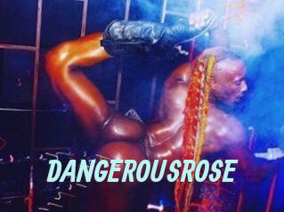 DANGEROUSROSE Ton Show