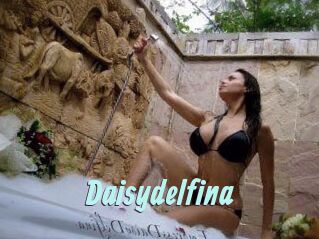 Daisydelfina