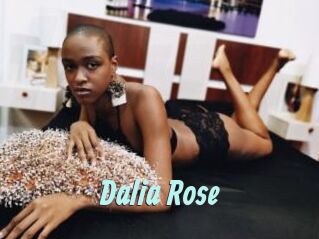 Dalia_Rose