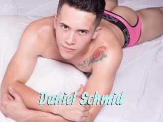 Daniel_Schmid