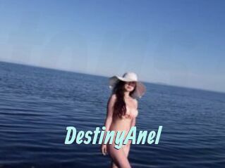 DestinyAnel