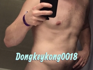 Dongkeykong0018