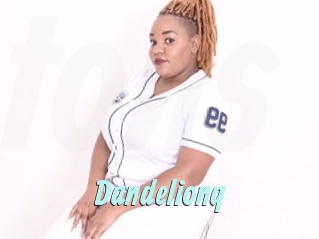 Dandelionq