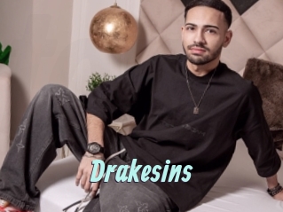 Drakesins