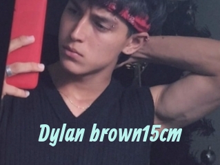 Dylan_brown15cm