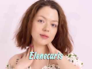 Elenecaris