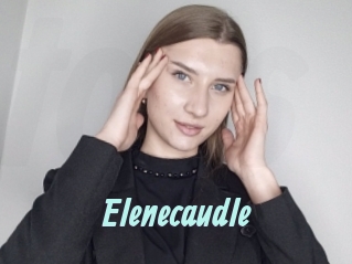 Elenecaudle