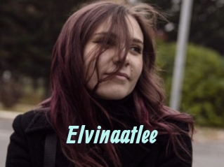 Elvinaatlee