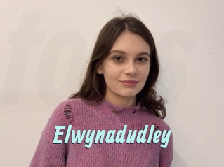 Elwynadudley