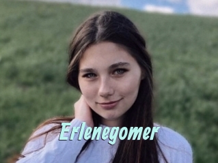 Erlenegomer