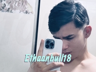 Ethaanbull18