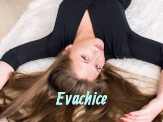 Evachice