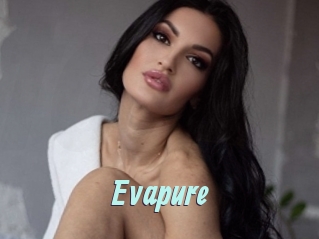 Evapure