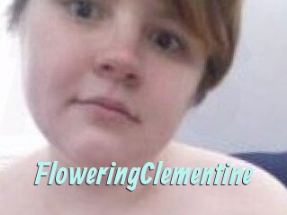 FloweringClementine