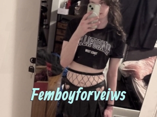 Femboyforveiws