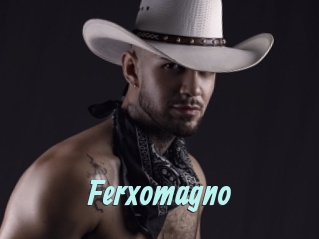 Ferxomagno