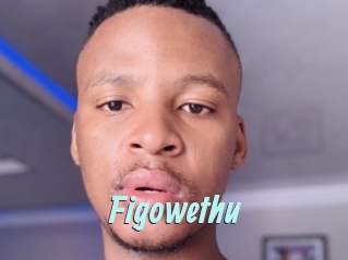 Figowethu