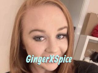 GingerXSpice