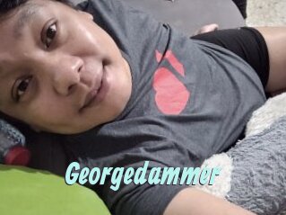 Georgedammer