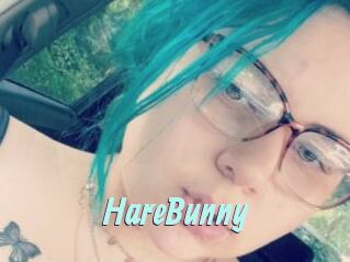 HareBunny