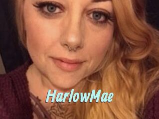 HarlowMae