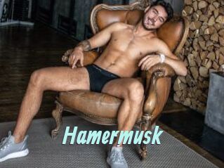 Hamermusk