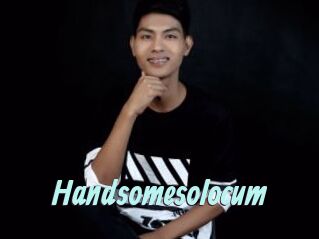 Handsomesolocum