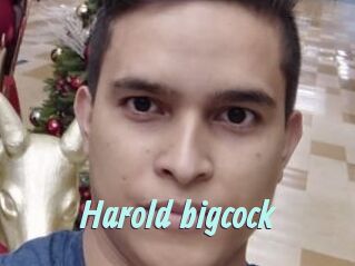 Harold_bigcock