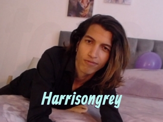 Harrisongrey