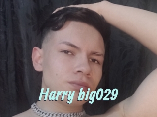 Harry_big029