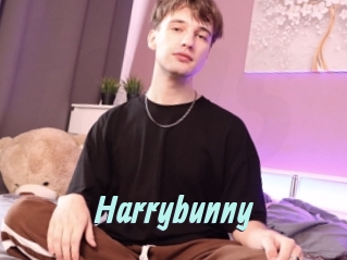 Harrybunny