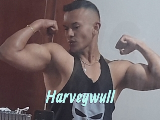 Harveywull