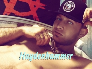 Haydenhammer