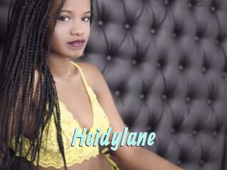 Heidylane