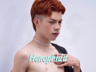 Henophidd