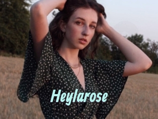 Heylarose