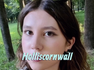 Holliscornwall