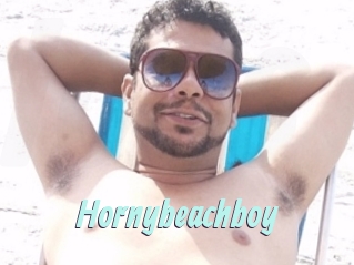 Hornybeachboy