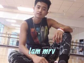 Iam_mrv