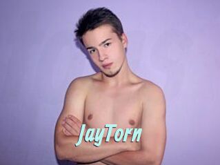 JayTorn Ton Show