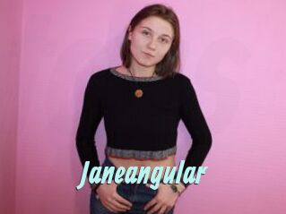 Janeangular