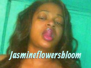 Jasmineflowersbloom
