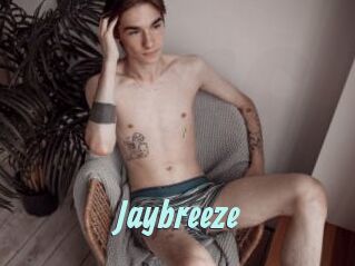 Jaybreeze