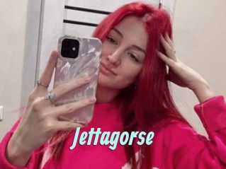 Jettagorse